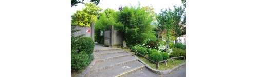 Viena japanese garden
